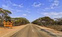 How to Road Trip Your Way Around Western Australia?