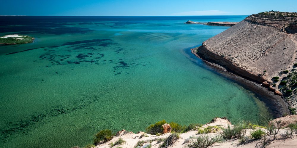 Shark Bay – What To See And How To Stay Safe!