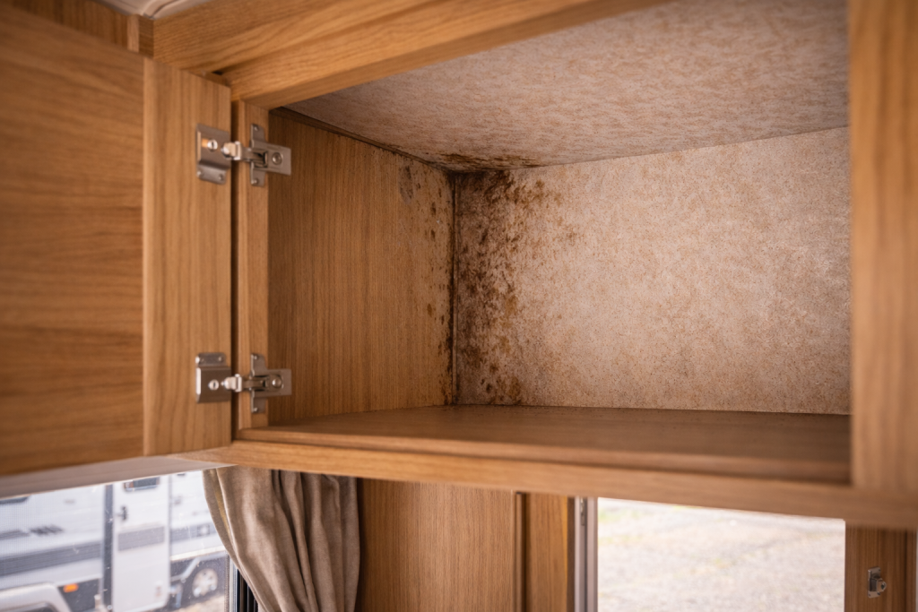Checking caravan interior for signs of water damage